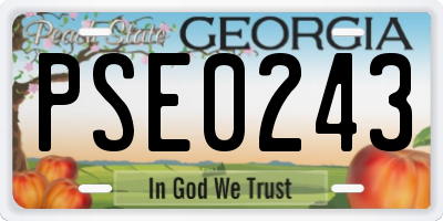 GA license plate PSE0243