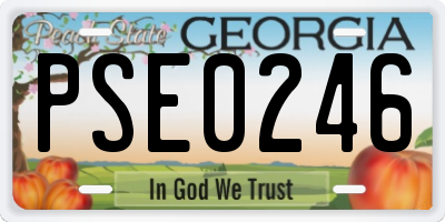 GA license plate PSE0246