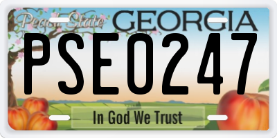 GA license plate PSE0247