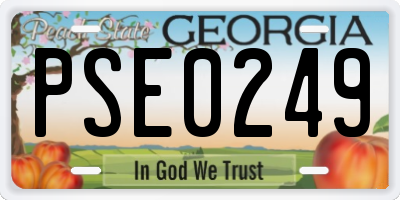 GA license plate PSE0249