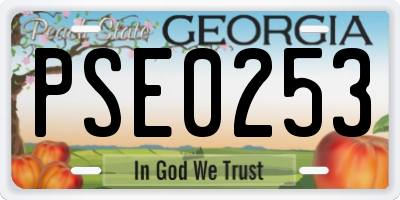 GA license plate PSE0253
