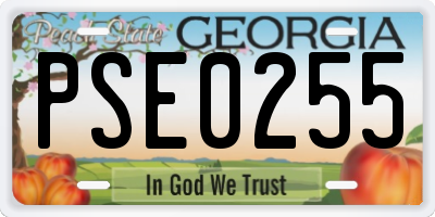 GA license plate PSE0255