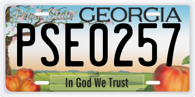 GA license plate PSE0257