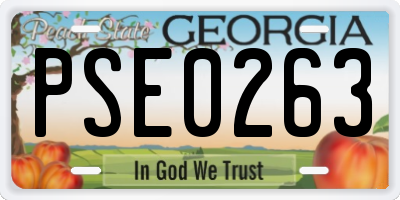 GA license plate PSE0263