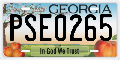 GA license plate PSE0265