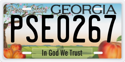 GA license plate PSE0267