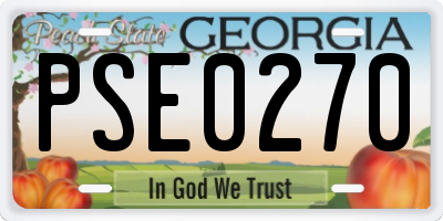 GA license plate PSE0270