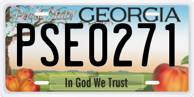 GA license plate PSE0271