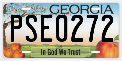 GA license plate PSE0272