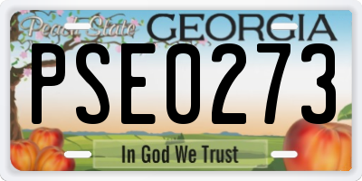 GA license plate PSE0273
