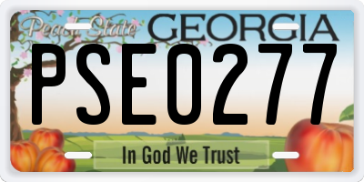 GA license plate PSE0277
