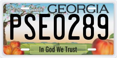 GA license plate PSE0289