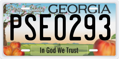 GA license plate PSE0293