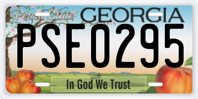 GA license plate PSE0295