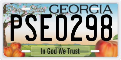 GA license plate PSE0298