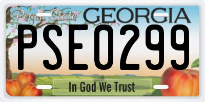 GA license plate PSE0299