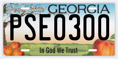 GA license plate PSE0300