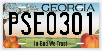 GA license plate PSE0301
