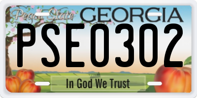 GA license plate PSE0302