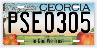 GA license plate PSE0305