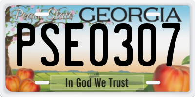GA license plate PSE0307
