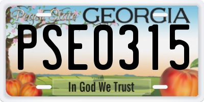 GA license plate PSE0315