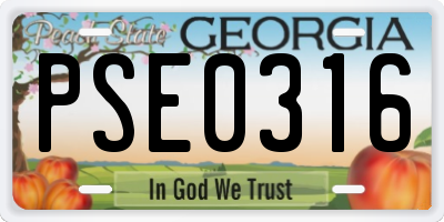 GA license plate PSE0316
