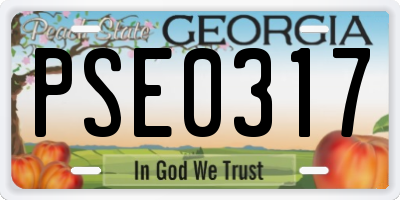 GA license plate PSE0317