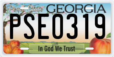 GA license plate PSE0319