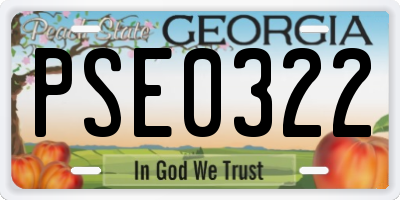 GA license plate PSE0322