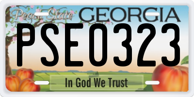 GA license plate PSE0323