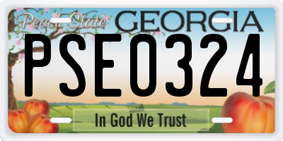 GA license plate PSE0324