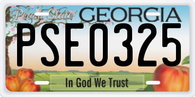 GA license plate PSE0325