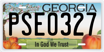 GA license plate PSE0327