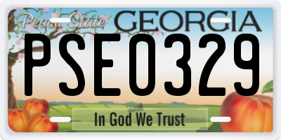 GA license plate PSE0329