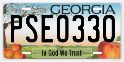 GA license plate PSE0330
