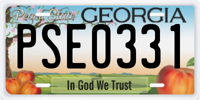GA license plate PSE0331