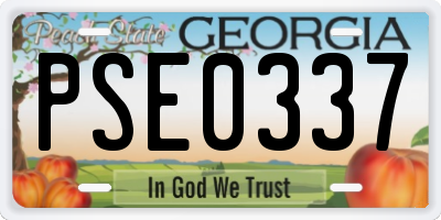 GA license plate PSE0337