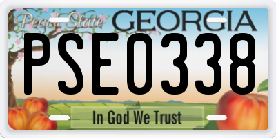 GA license plate PSE0338