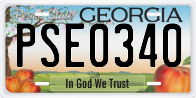 GA license plate PSE0340