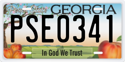 GA license plate PSE0341