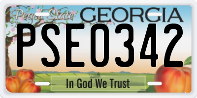 GA license plate PSE0342