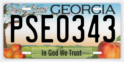 GA license plate PSE0343