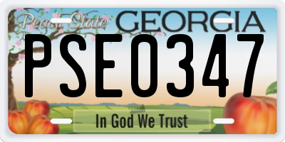 GA license plate PSE0347