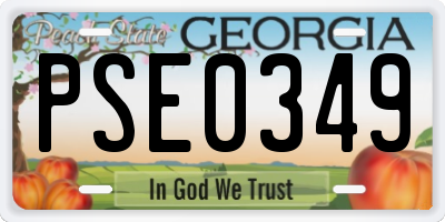 GA license plate PSE0349