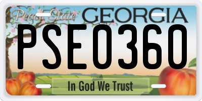 GA license plate PSE0360