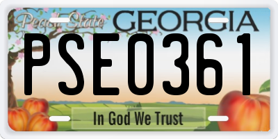 GA license plate PSE0361