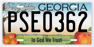 GA license plate PSE0362