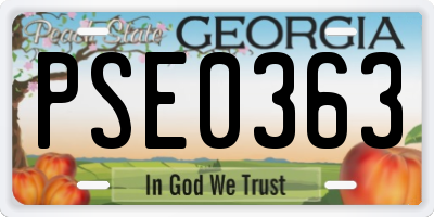 GA license plate PSE0363