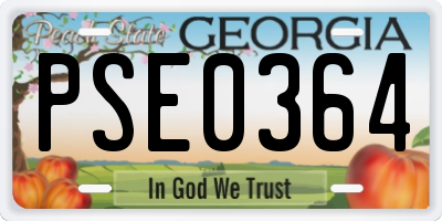 GA license plate PSE0364